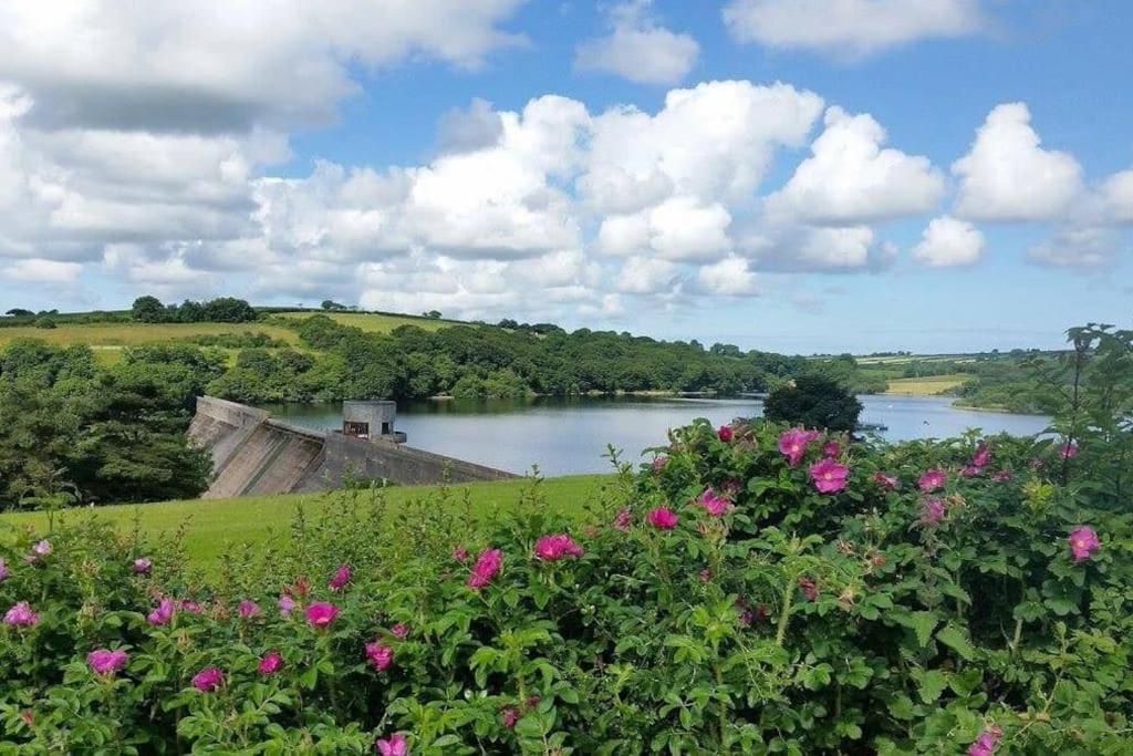Ship Cottage Tenby Beach 50M ภายนอก รูปภาพ